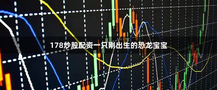 178炒股配资一只刚出生的恐龙宝宝
