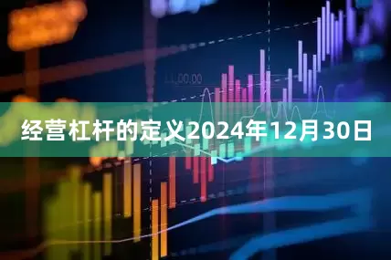 经营杠杆的定义2024年12月30日
