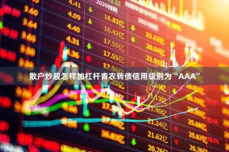散户炒股怎样加杠杆青农转债信用级别为“AAA”