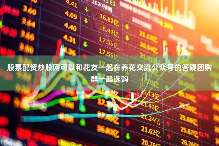 股票配资炒股网可以和花友一起在养花交流公众号的答疑团购群一起选购