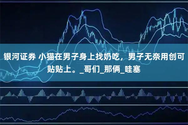 银河证券 小猫在男子身上找奶吃，男子无奈用创可贴贴上。_哥们_那俩_哇塞