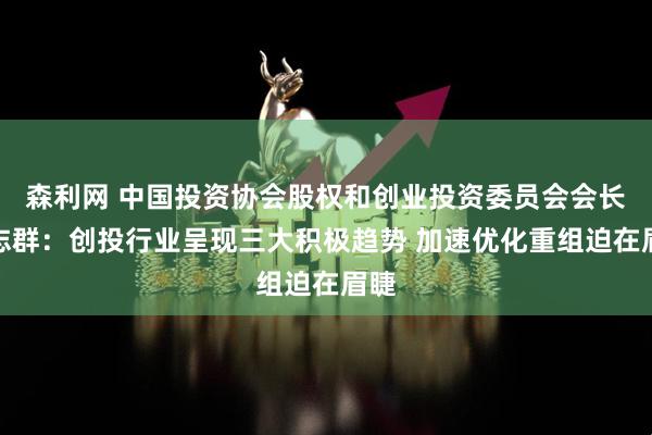 森利网 中国投资协会股权和创业投资委员会会长沈志群：创投行业呈现三大积极趋势 加速优化重组迫在眉睫