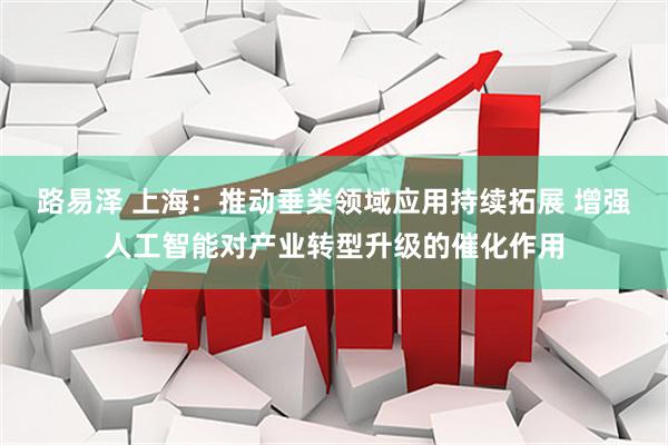 路易泽 上海：推动垂类领域应用持续拓展 增强人工智能对产业转型升级的催化作用